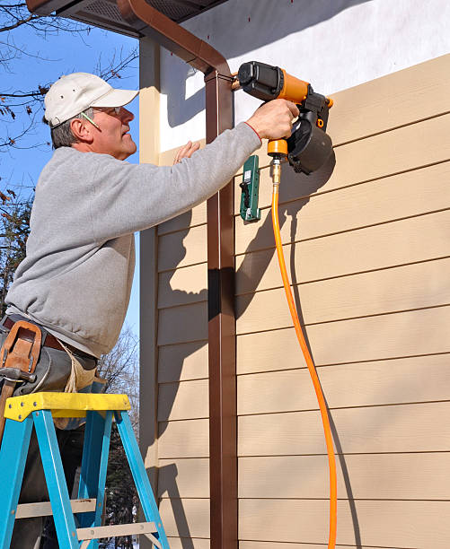 Best Vinyl Siding Installation  in Carrier Mls, IL